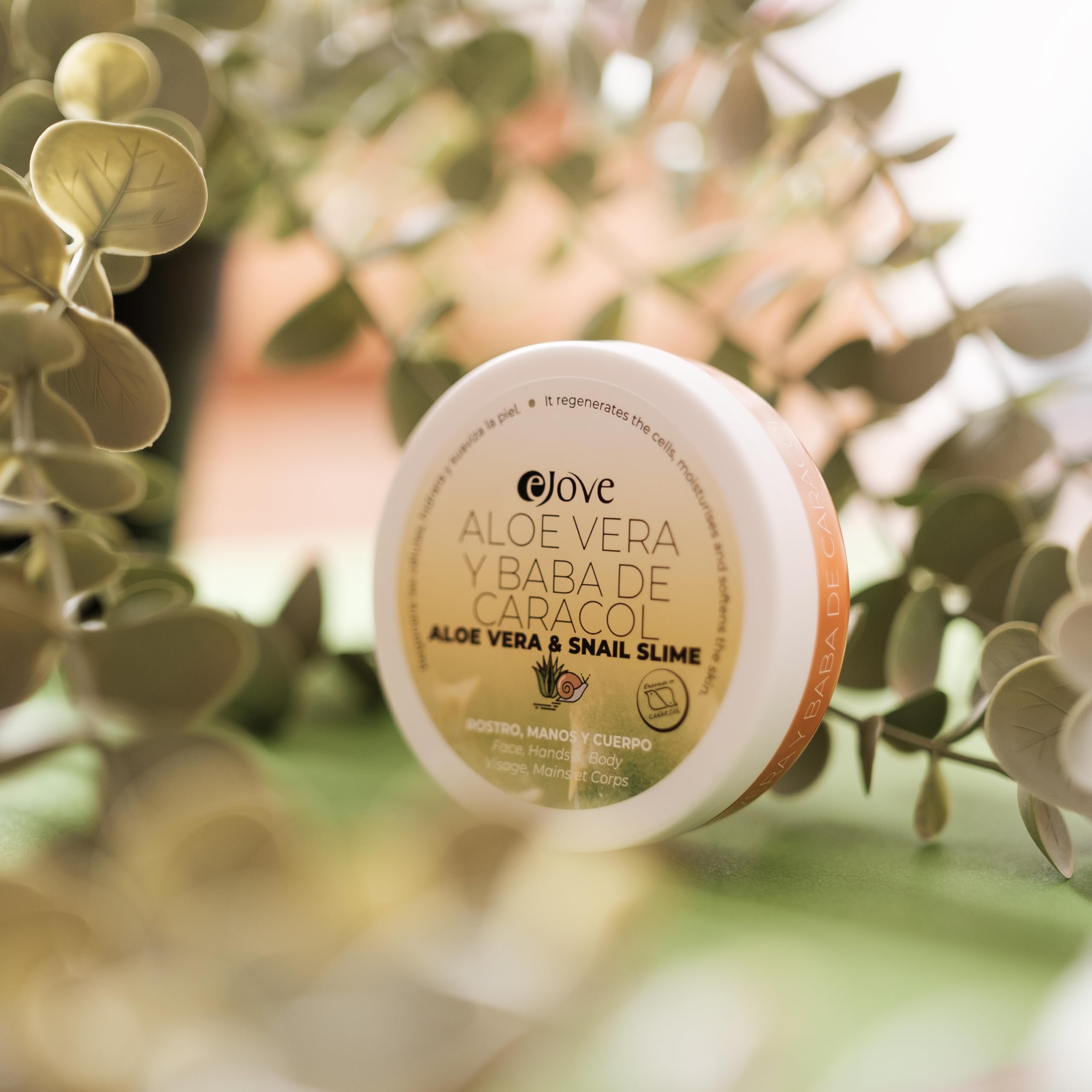 Ejove Nourishing Face Hand & Body Cream - Snail Slime & Aloe Vera :  Amazon.com.be: Beauty