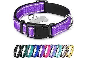 TECEUM Reflective Pet Collar - Medium - Purple - Extra Soft Padding...