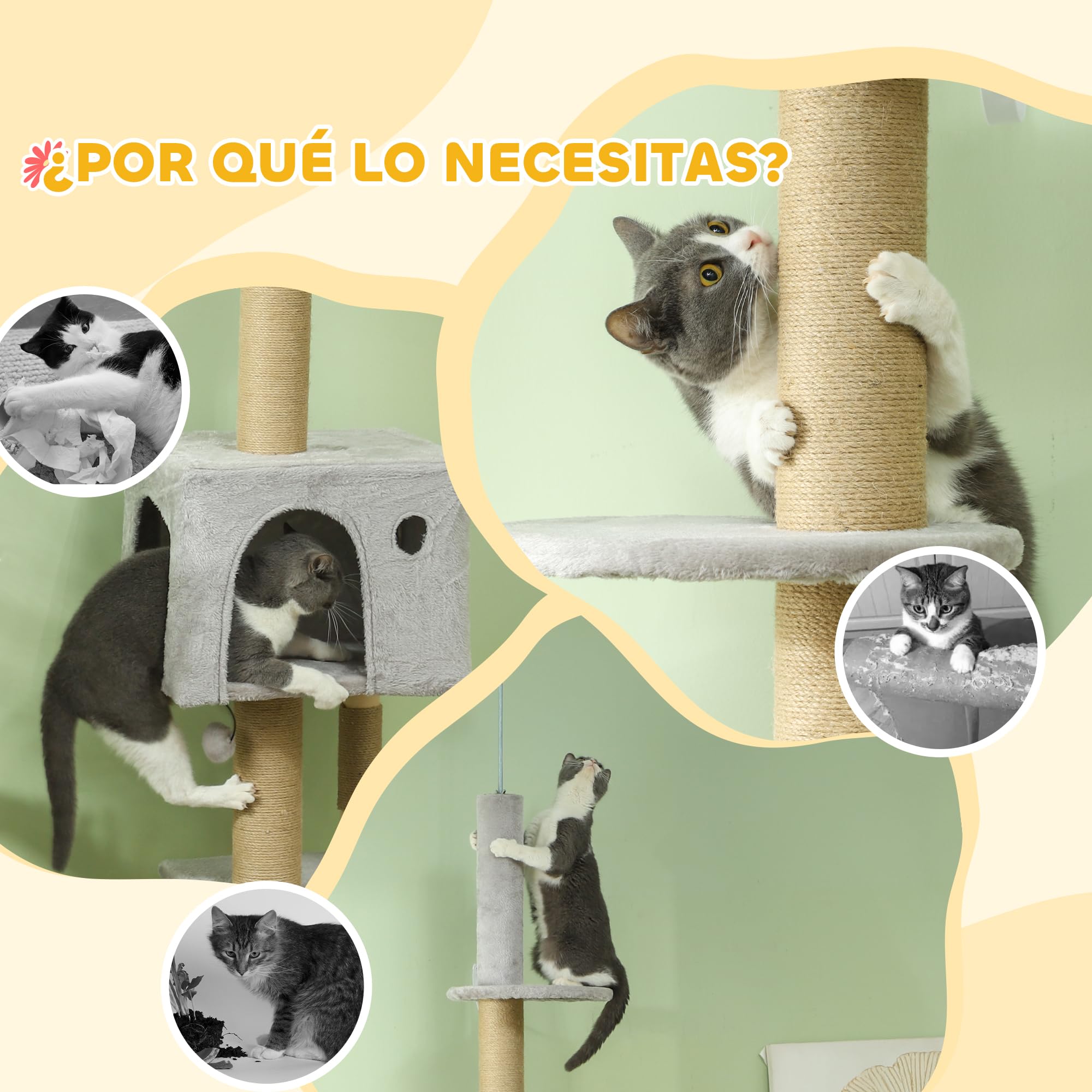 PawHut Árbol para Gatos de Suelo a Techo con Escalera 225-255 cm Gris Claro | Árbol Rascador para Gatos, Altura Ajustable, Múltiples Plataformas, Bola Colgante