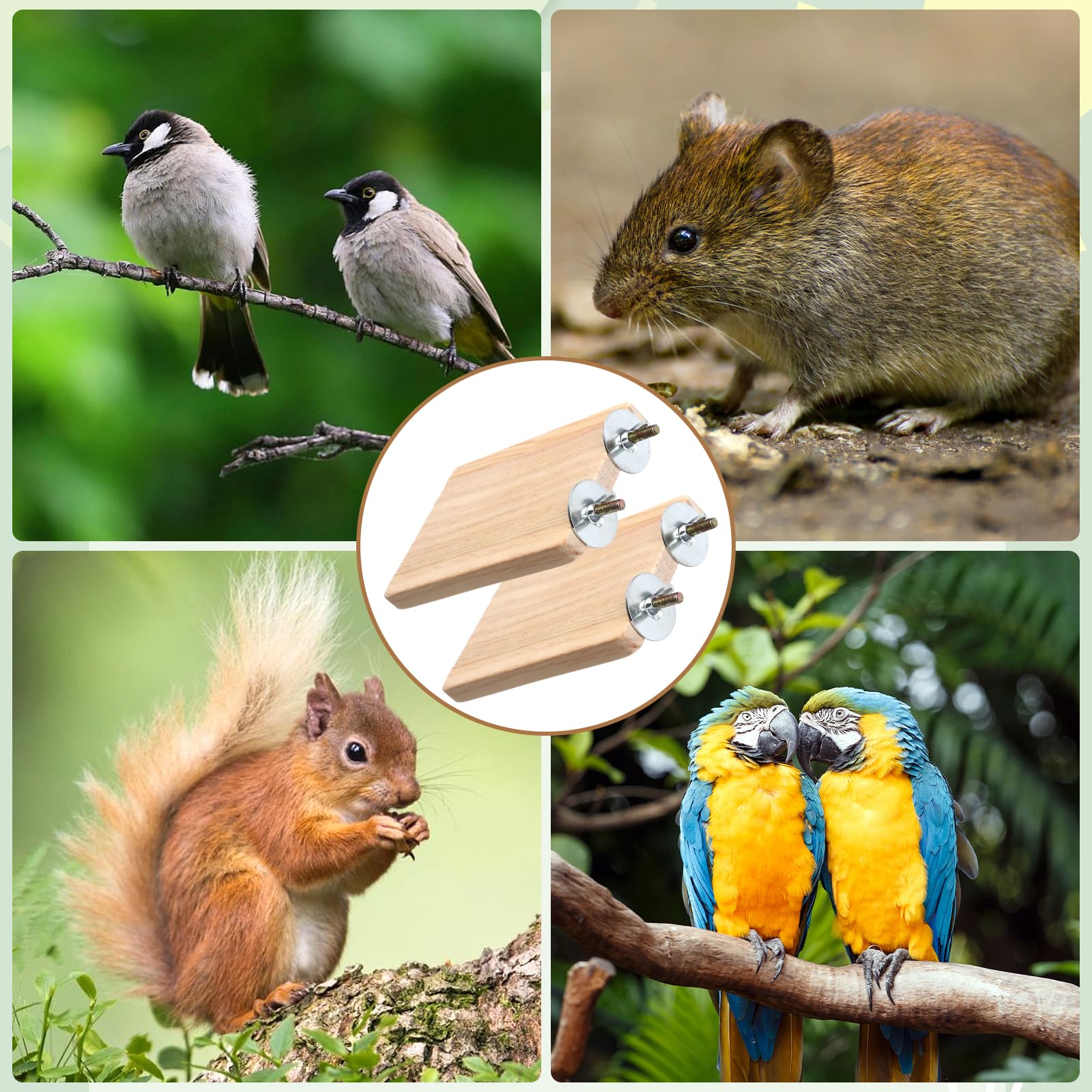 2 Plateformes Bois Naturel pour Oiseaux 13×9 CM, Perchoirs Rectangulaires Accessoires Cage à Oiseaux, Perchoir en Bois pour Perruche Canari Calopsitte Perroquet Hamster Cochons d’Inde