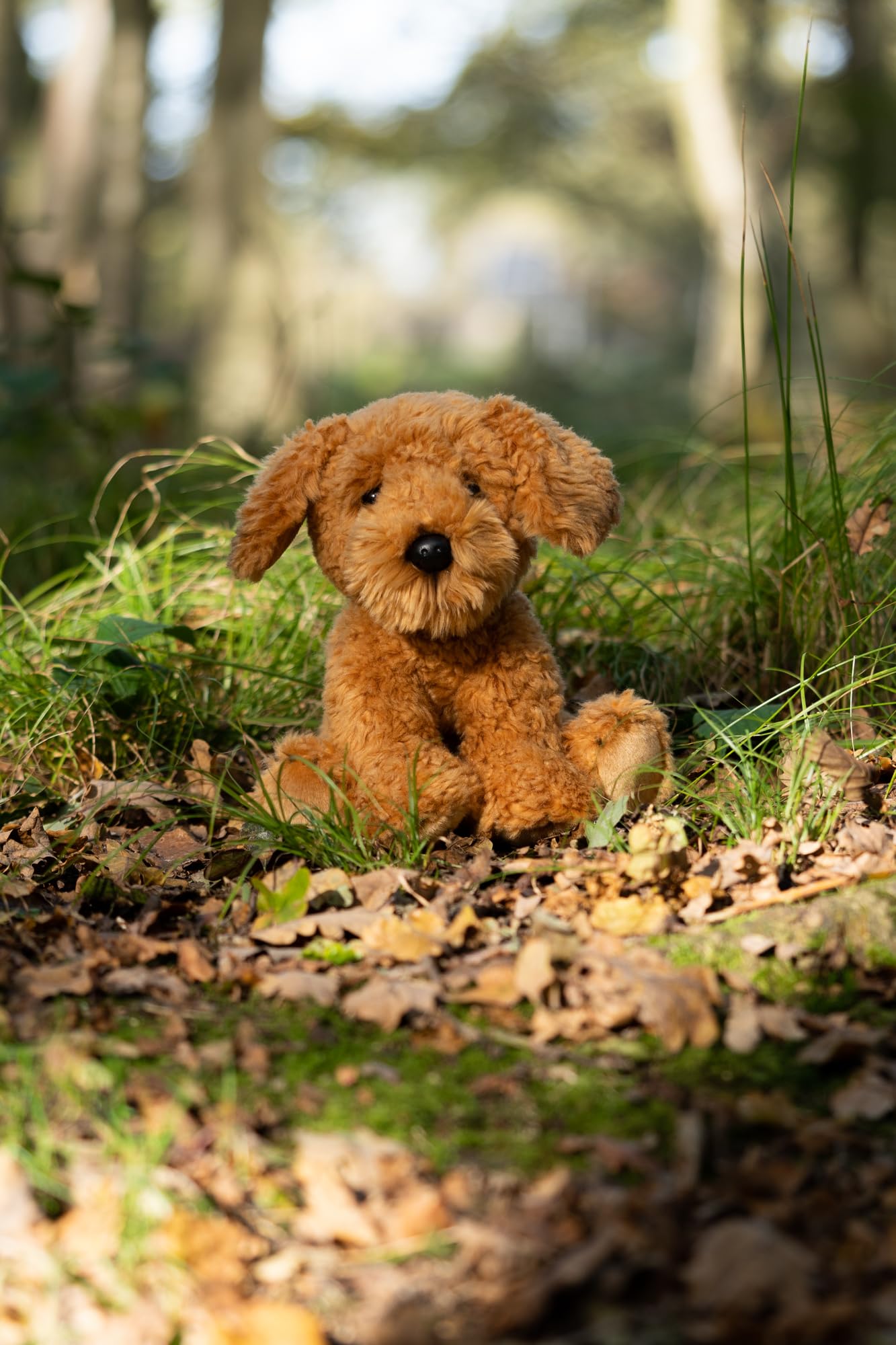 Jeux et Jouets - Peluche Cockapoo Adoptable à 19,90 €TTC Jeux et Jouets - Peluche Cockapoo Adoptable à 19,90 €TTC