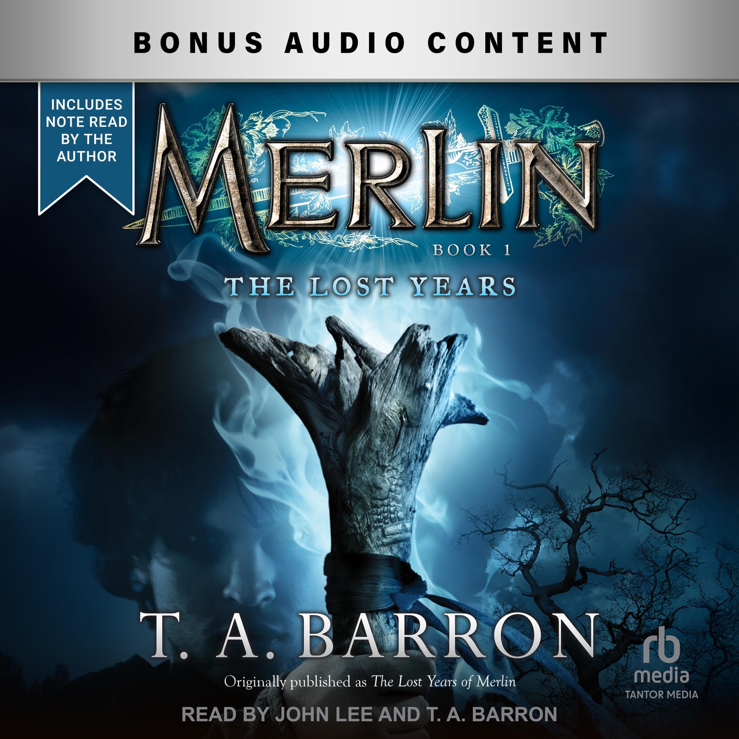 Cover art for Merlin: The Lost Years, Book 1