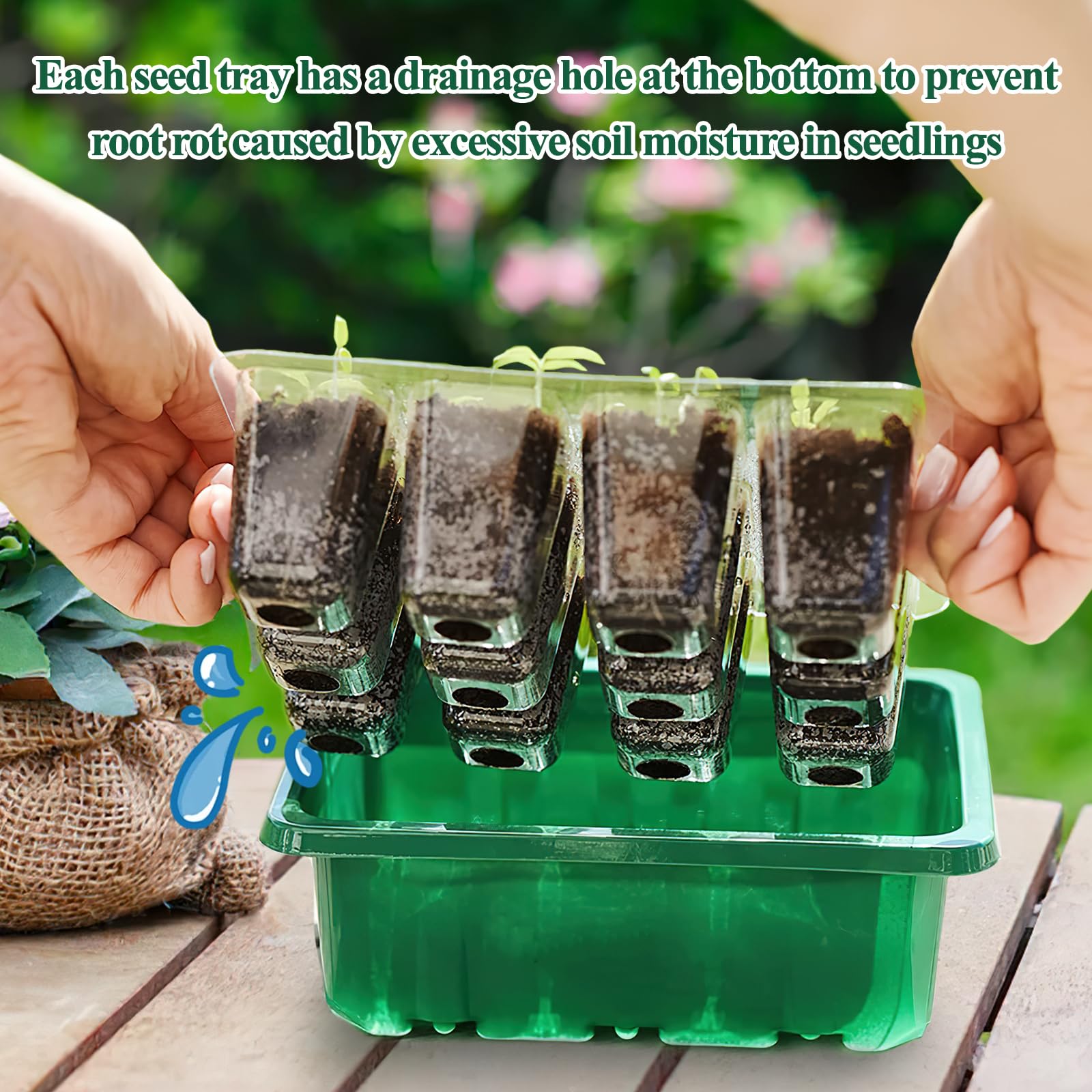ZoneYan Vassoi per Semi 72 Celle Propagator Growing, Mini Serra per Piantine con Cupole Ventilate per Semina Germinazione di Piante in Crescita