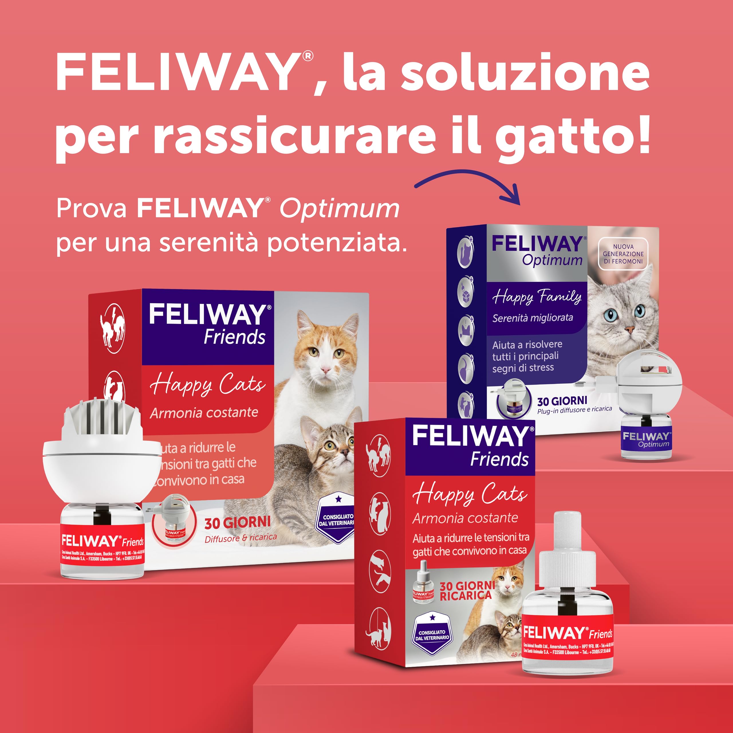 FELIWAY Friends 1x30 Giorni Ricarica Calmante per Gatti per Diffusore di Feromoni, 48 ml – Aiuta a creare armonia e a ridurre i conflitti nelle case con più gatti. Raccomandato dai veterinari