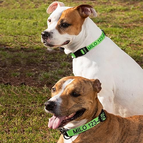 Vista 170 de Pawtitas Collar personalizado para perro, collar de perro pequeño, bordado con nombre, número de teléfono, collar de cachorro, collar ajustable