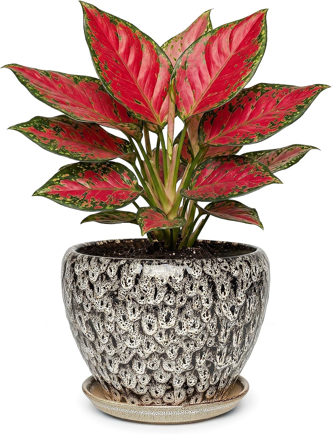 7.5 Inch Ceramic Plant Pot with Drainage Hole Mesh Net,Modern Gardening Pots for Indoor Plants with Saucer, Speckle White
