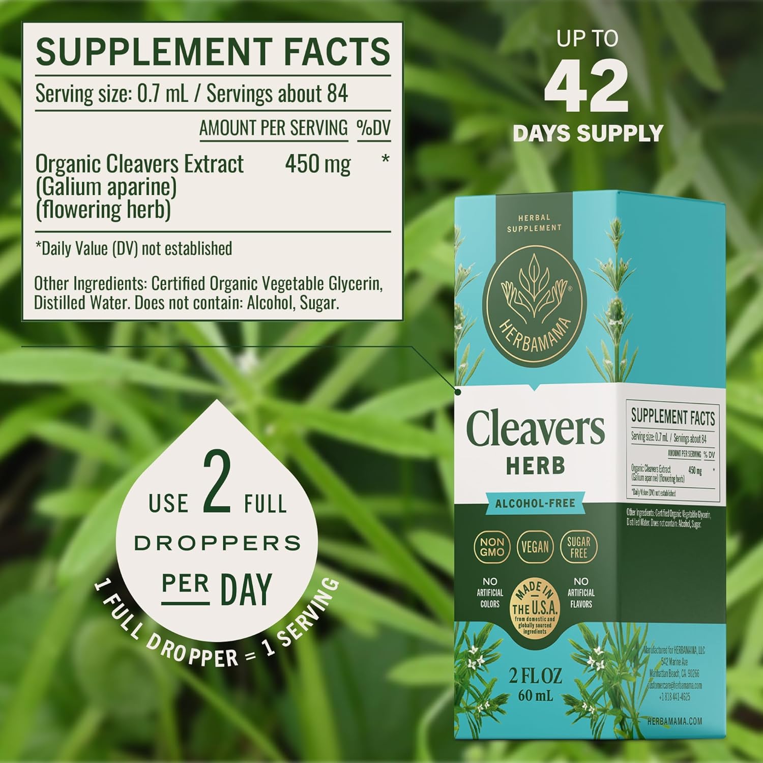 HERBAMAMA Cleavers Herb Tincture - Vegan Natural Detox & Cleanse Support with Cleavers Leaf Extract Drops - Non-GMO, Alcohol & Sugar-Free Liquid Herbal Supplement, 42-Day Supply - Image 3