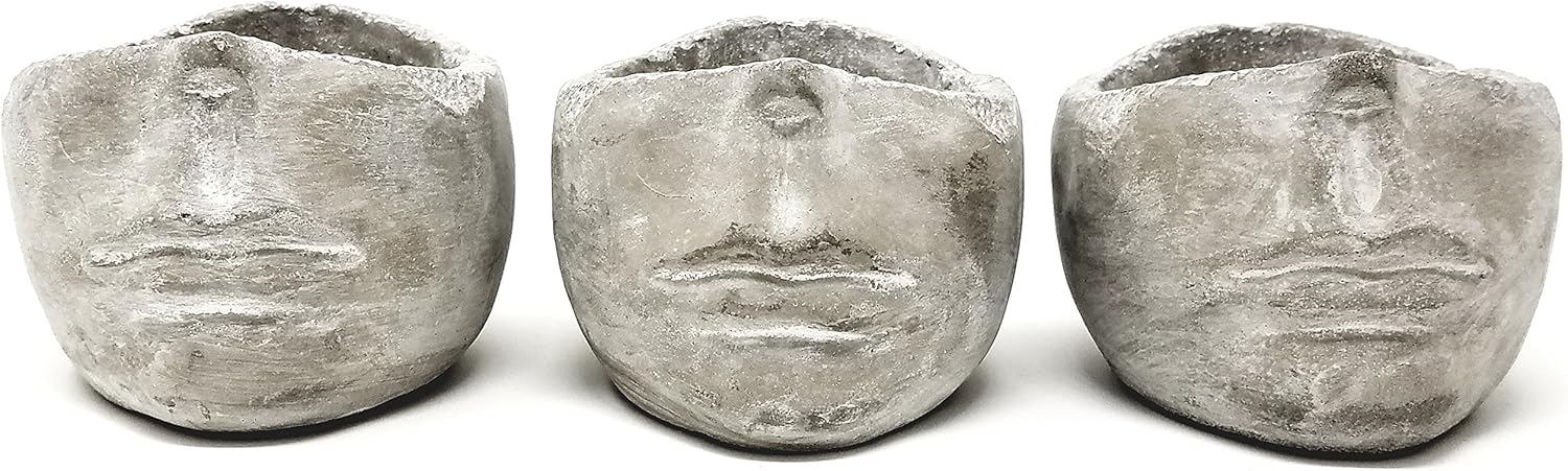 Succulent Planter 4 Inch Modern Cement Indoor Outdoor Planter Face Pot for Home or Office | Great for Succulents, Cactus, Aloe, Moss, Ferns and More (Set of 3)