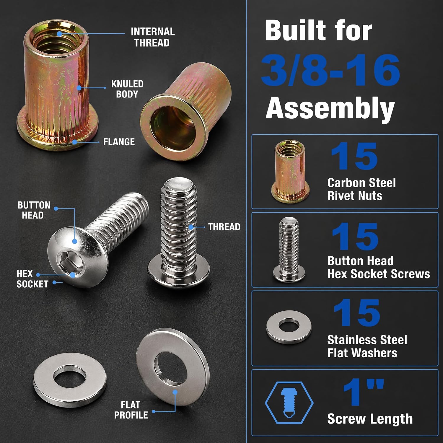 1/4-20 Rivet Nut and Button Head Bolt 1"