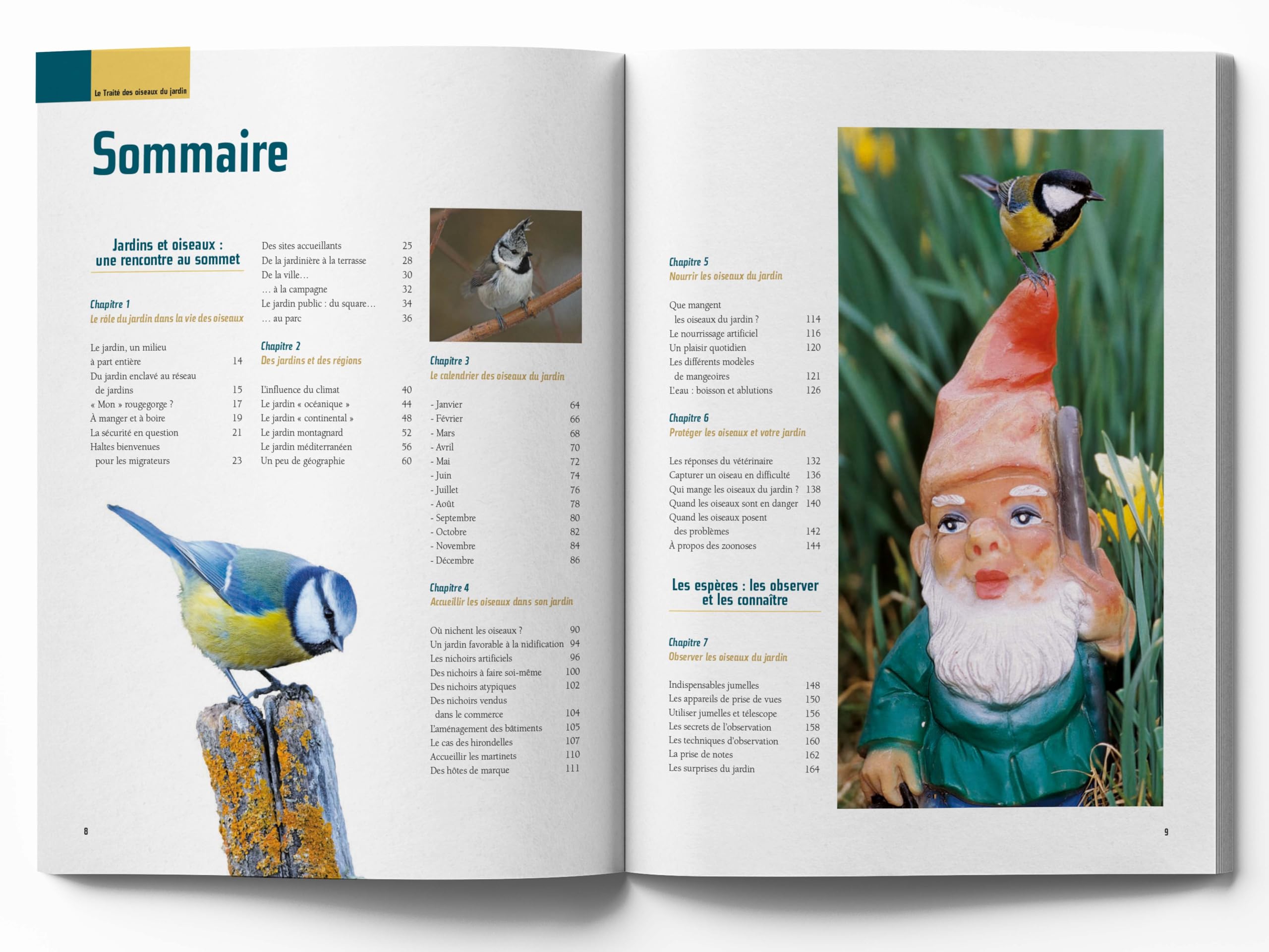 Le traité Rustica des oiseaux: Des jardins, des bois et des campagnes