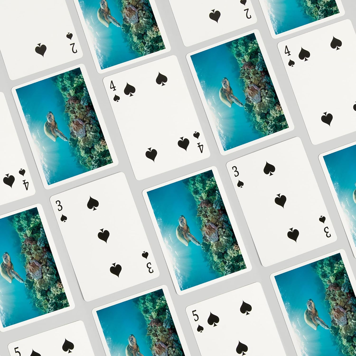 Lantern Press Sea Turtle and Coral Reef, 52 Playing Cards for Adults, Poker Size Card Deck
