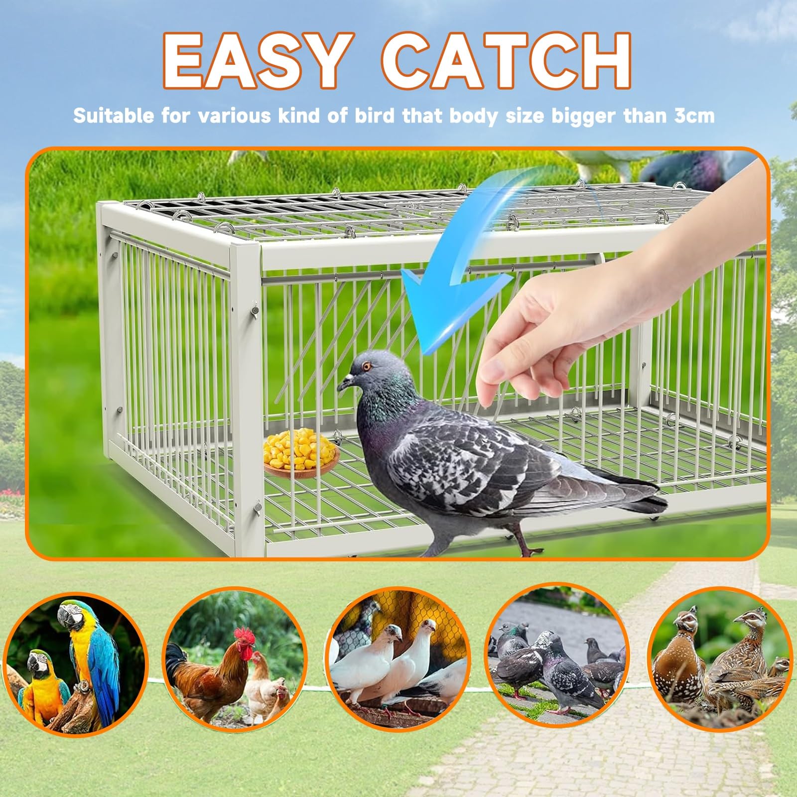 Jaula for Palomas Trampa for pájaros con Entrada unidireccional, Trampa for Animales, Exterior, fácil de Montar, Trampa for pájaros(White,60 * 40cm)