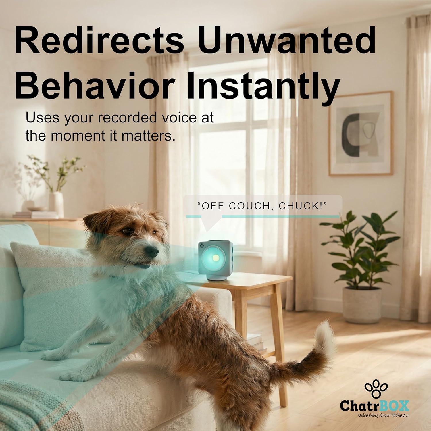 Humane Smart Pet Training Device – Motion-Activated Voice Guidance for Immediate Behavior Control, Works Automatically When You’re Not Home (No Shock, No Collar, No Spray)