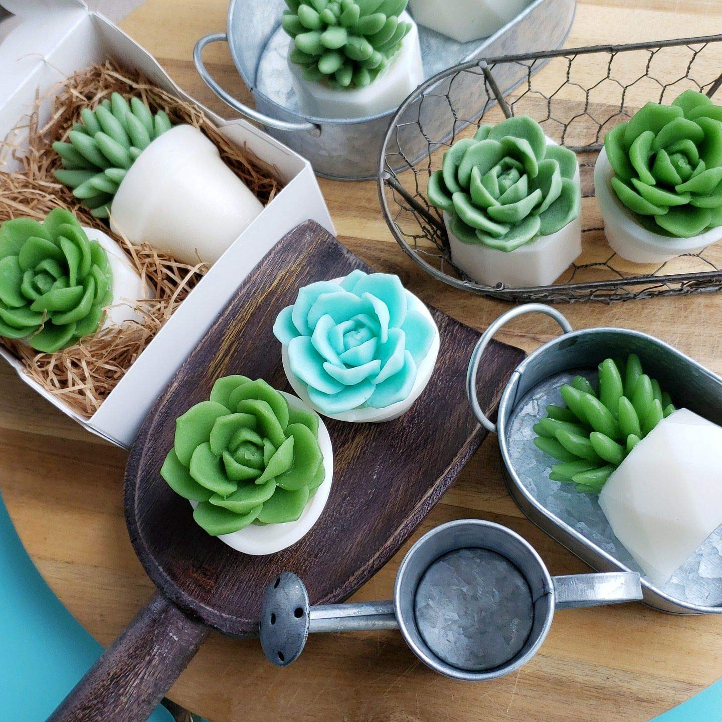 You Grow Girl Succulent Soap Gift Box Set. Best Friends Encouragement Gift Ideas for Her