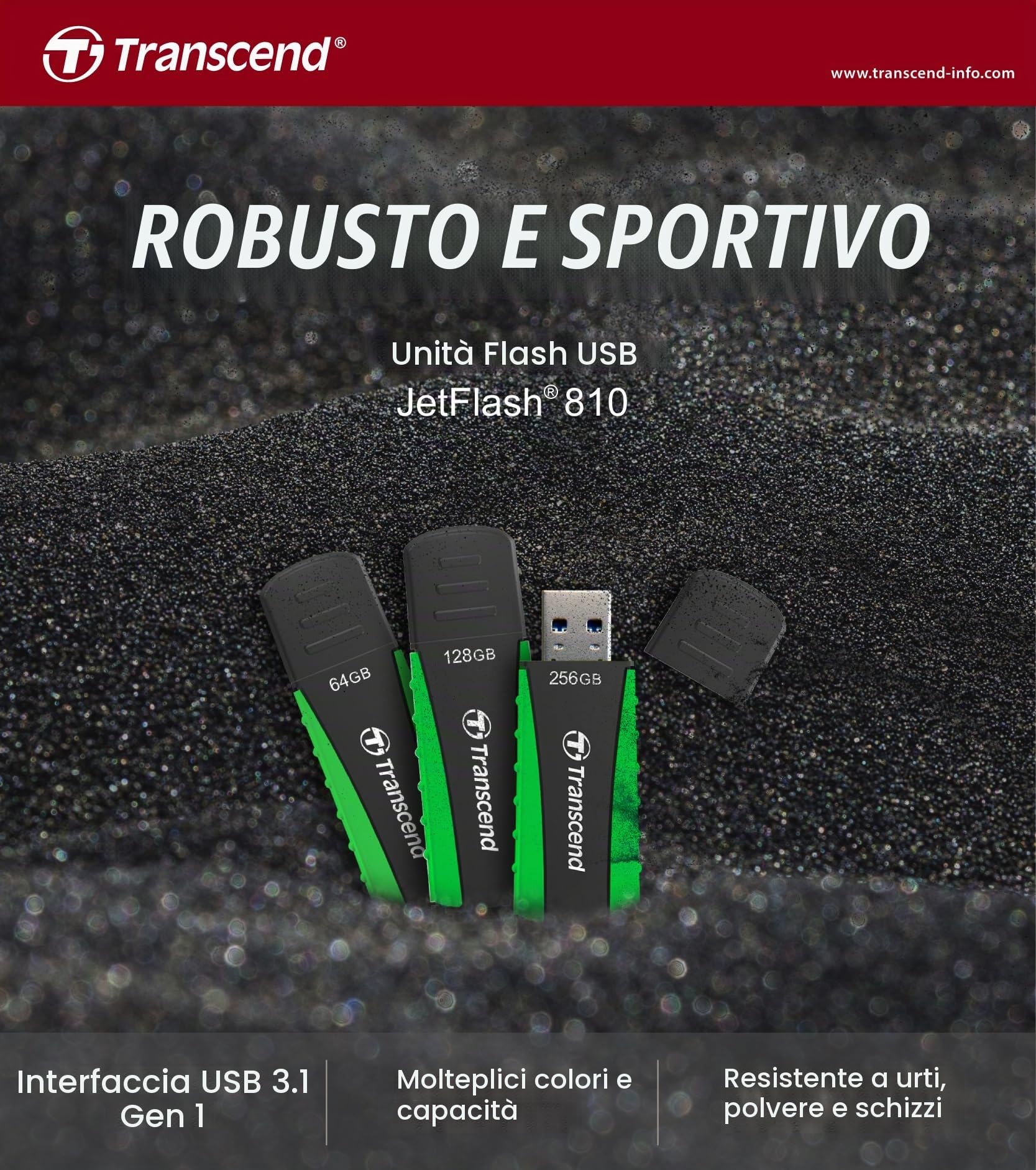 Transcend JetFlash 810 USB 3.1 Gen 1 da 256 GB, chiavetta USB robusta - TS256GJF810