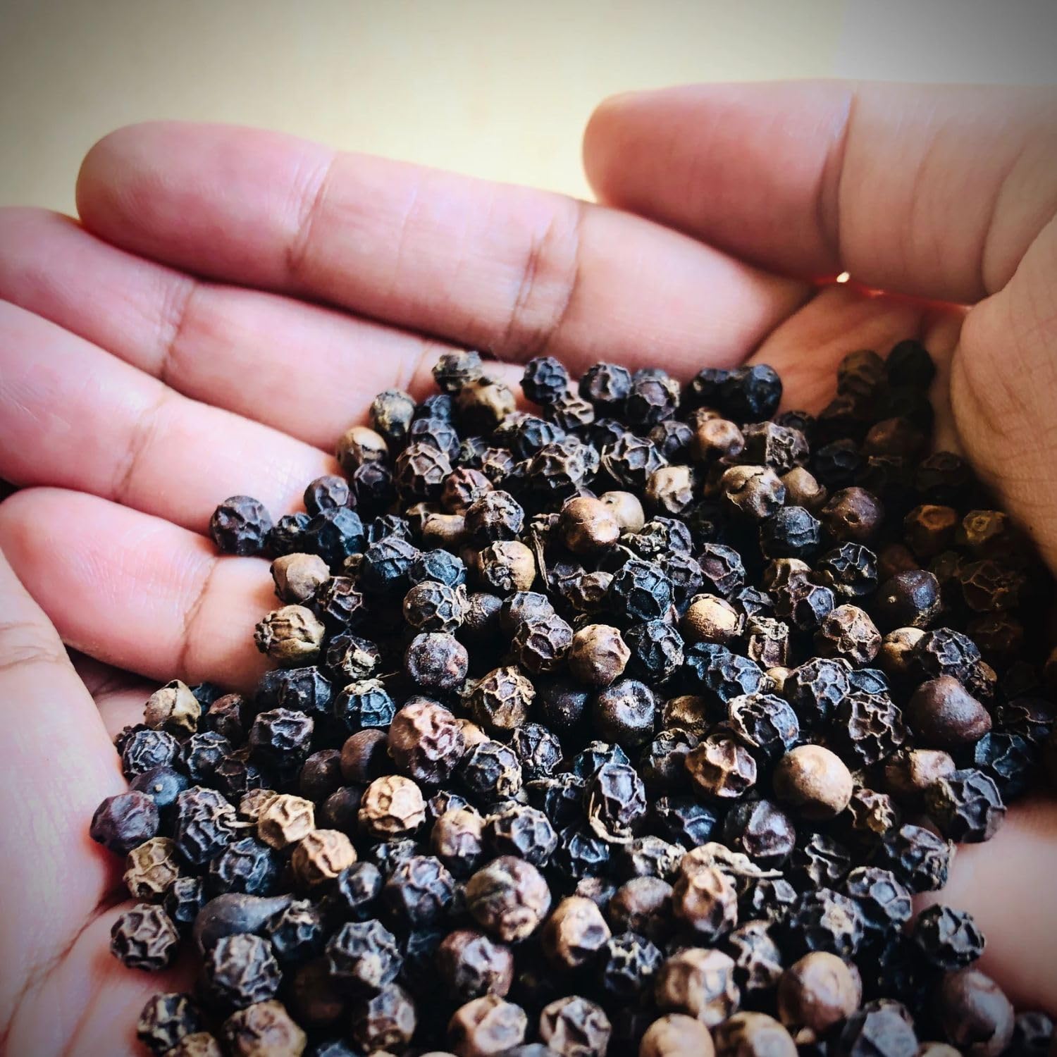 Pepe Nero in Grani TGESB 500g Alta Qualità | Spezia Intera Aromatica per Macinapepe, Gusto Intenso e Fresco | Essenziale per Carni, Pesci, Salse Gourmet | Premium Quality, Macinabile, Essiccatura Natu