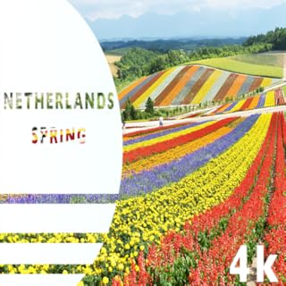 Holanda Bliss: Serene Escapes - Melodias Calmantes • Retiro Tranquilo para Spa, Yoga e Relaxamento