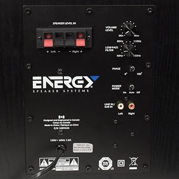 Energy ESW-C8 8-Inch Subwoofer (Black)
