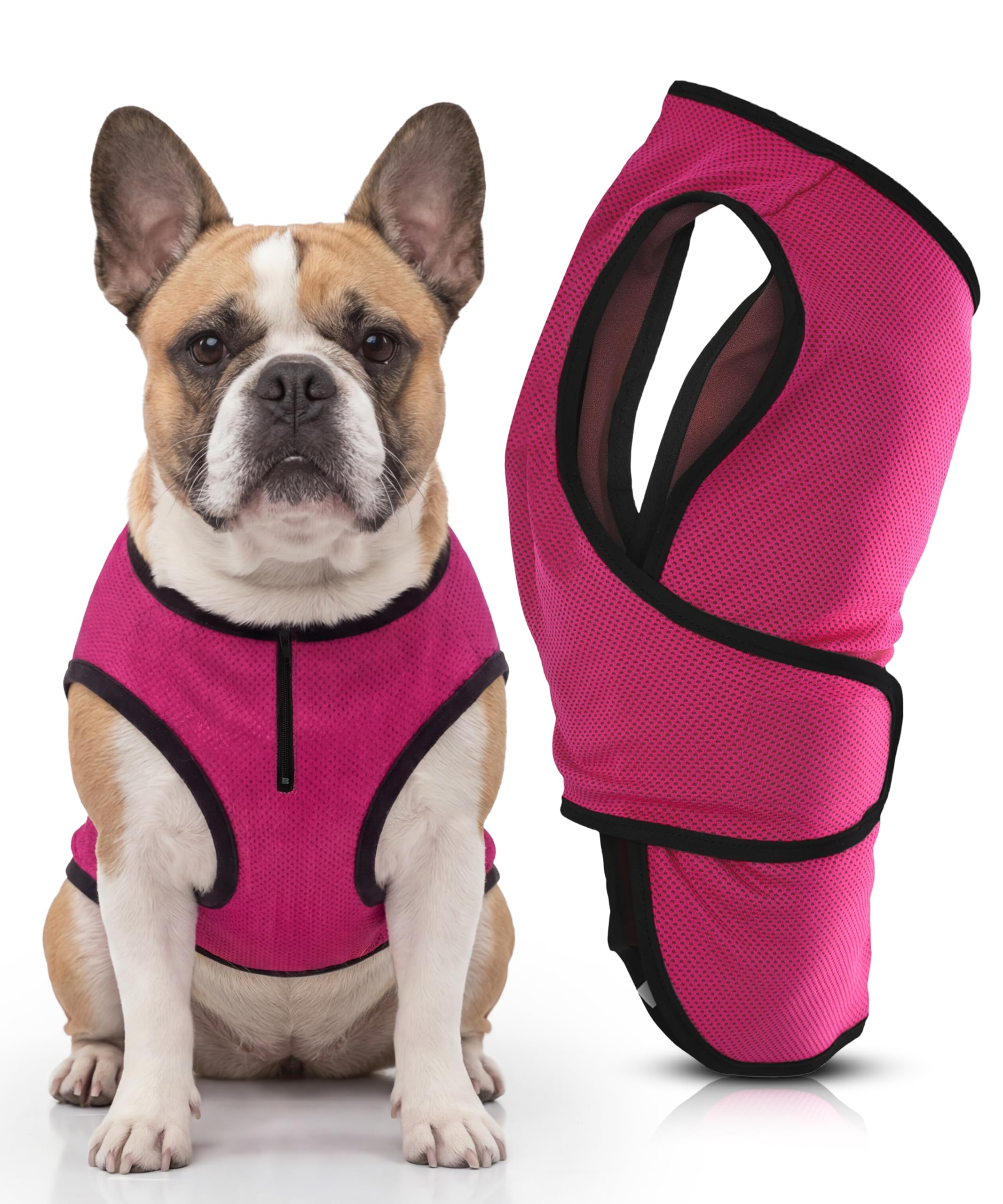 Lautus Pets Medium Dog Cooling Vest - Easy On/Off Cooling Coat with Double Velcro & Zip Neck, Lightweight & Portable Cooling Jacket for Dogs, Perfect for Dog Owners, Walkers, Sitters & Pet Carers