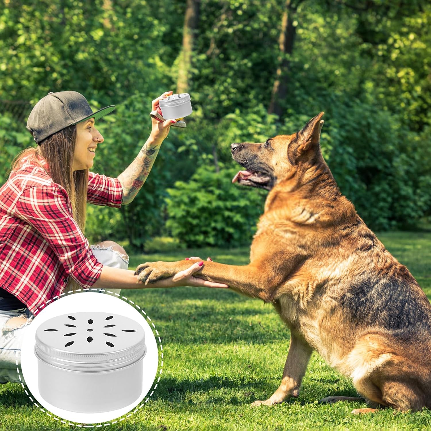 SUPVOX 10pcs Dog Training Scent Box for Dog Nose...