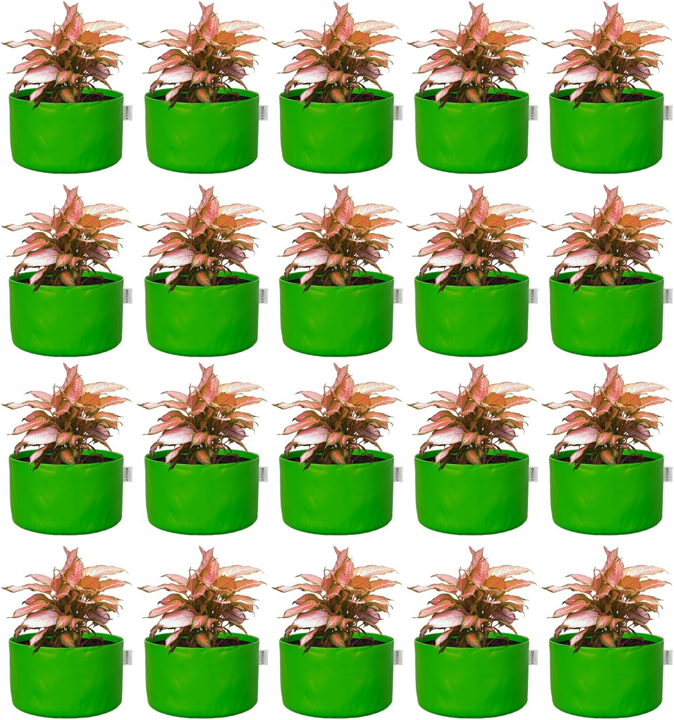 ORILEY Grow Bag Heavy Duty HDPE Plants Flower Growing Bags Floor Standing Mount Type for Home Garden Balcony Terrace Kitchen Nursery (Green, Round Without Handle, 250 GSM 15 x 15 inch Pack of 20)