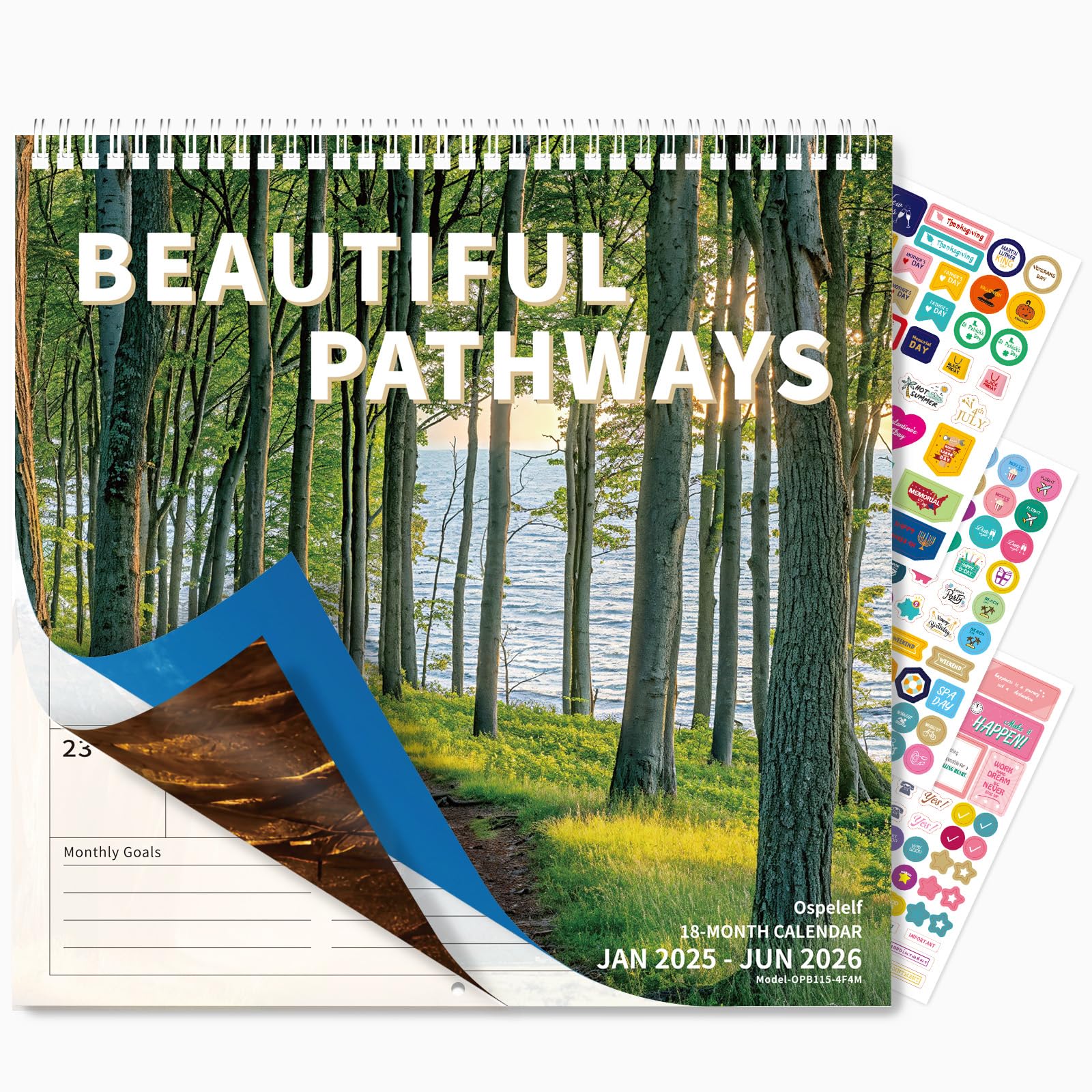 Ospelelf 2025 Wall Calendar 12'' x 12'', Monthly Calendar