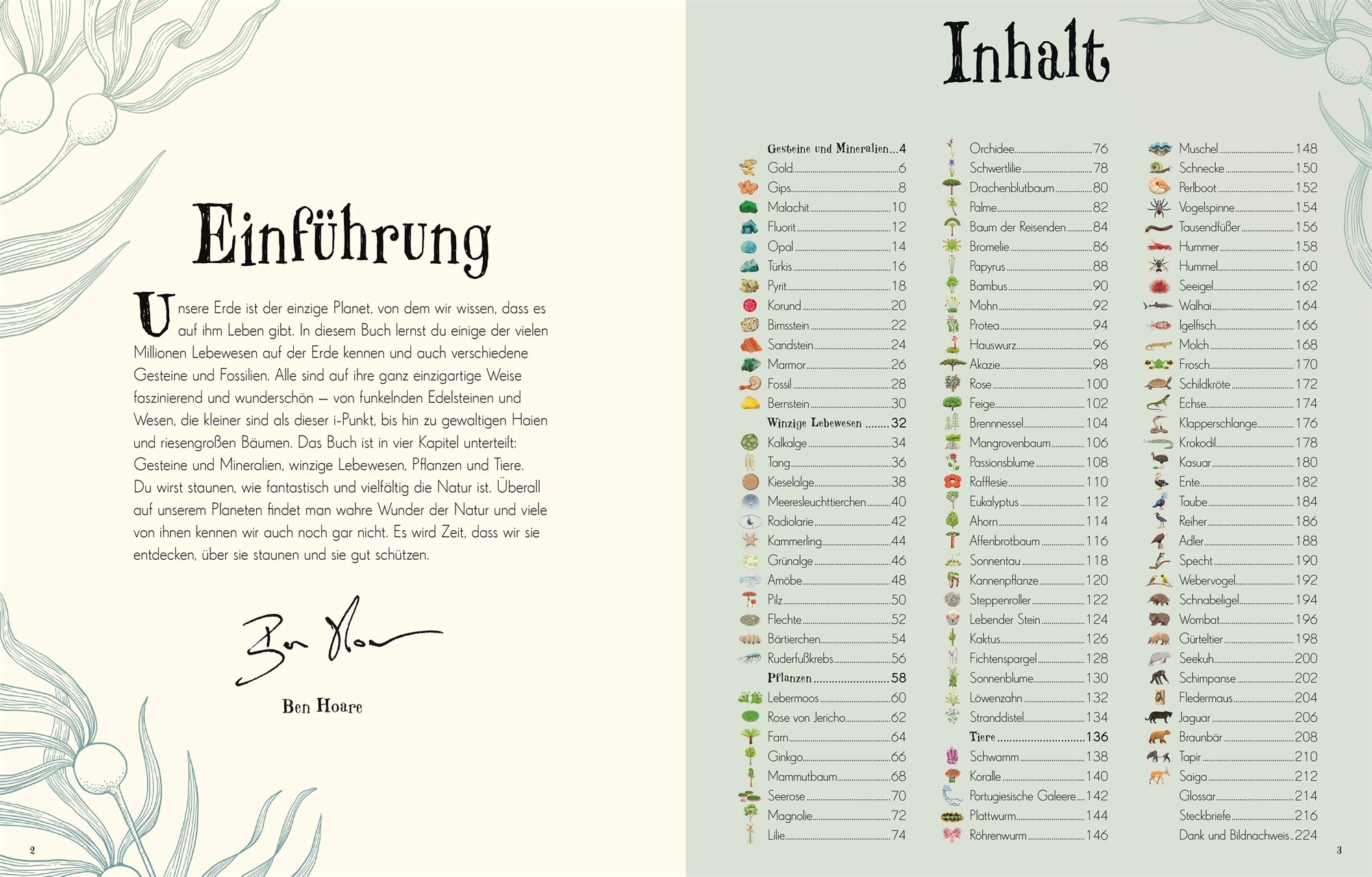 Wundervolle Welt der Natur: Ein Naturbilderbuch für die ganze Familie. Hochwertig ausgestattet mit Lesebändchen, Goldfolie und Goldschnitt