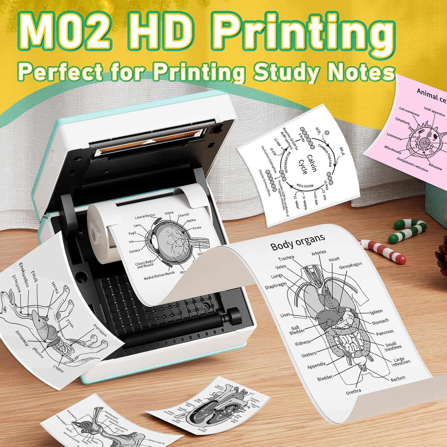 Cricut Sticker Printer Portable Thermal Sticker Printer – Inkless Mini ...