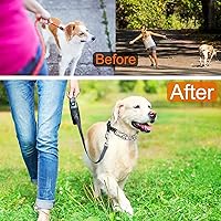 Vista 2 de Collar de entrenamiento ajustable para perros con punta de goma cómoda y hebilla de liberación rápida para perros pequeños, medianos y grandes