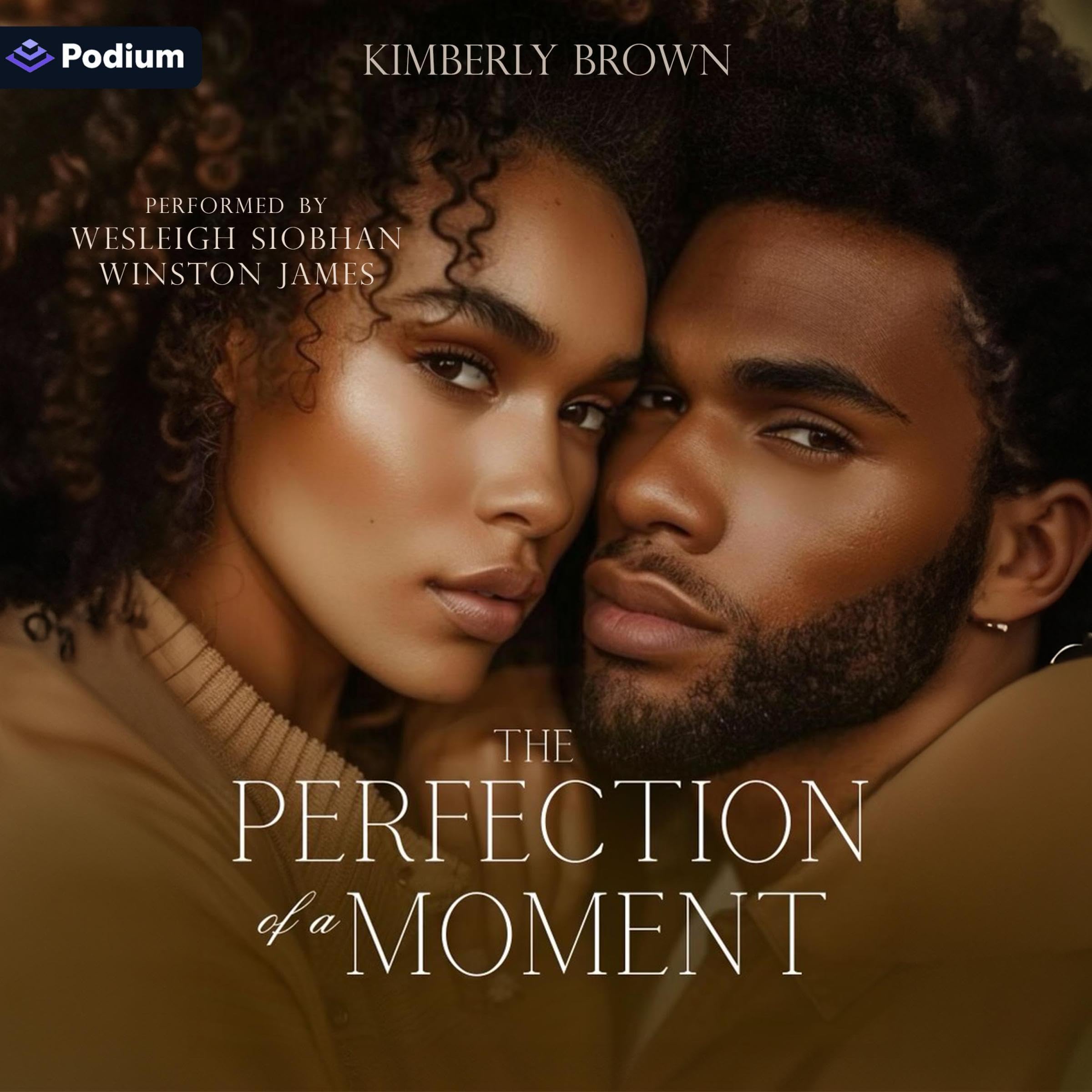 Cover art for The Perfection of a Moment