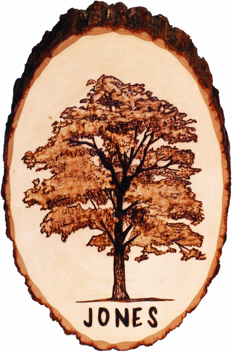 Walnut Hollow Creative Woodburning (Pyrography) Kit for the Beginner in Arts, Crafts & Hobby