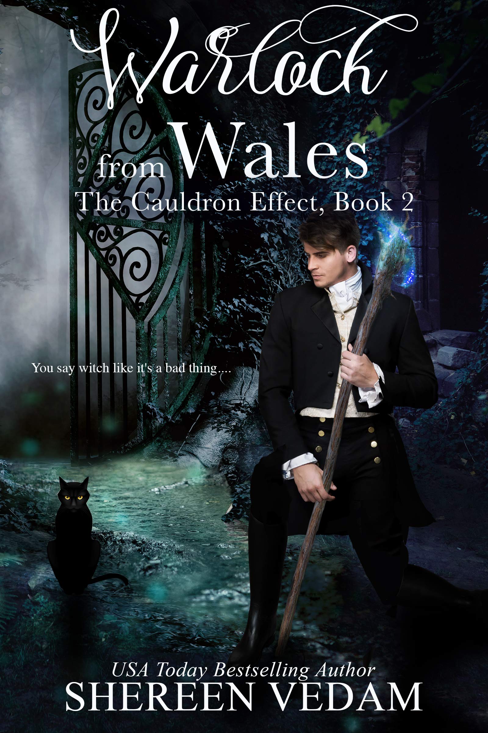 Cover of Warlock from Wales