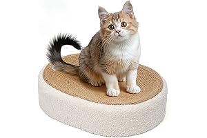 Scratch Lounge Cat Bed: The Ultimate Cat Scratcher for Happy Paws and Mess-Free Homes