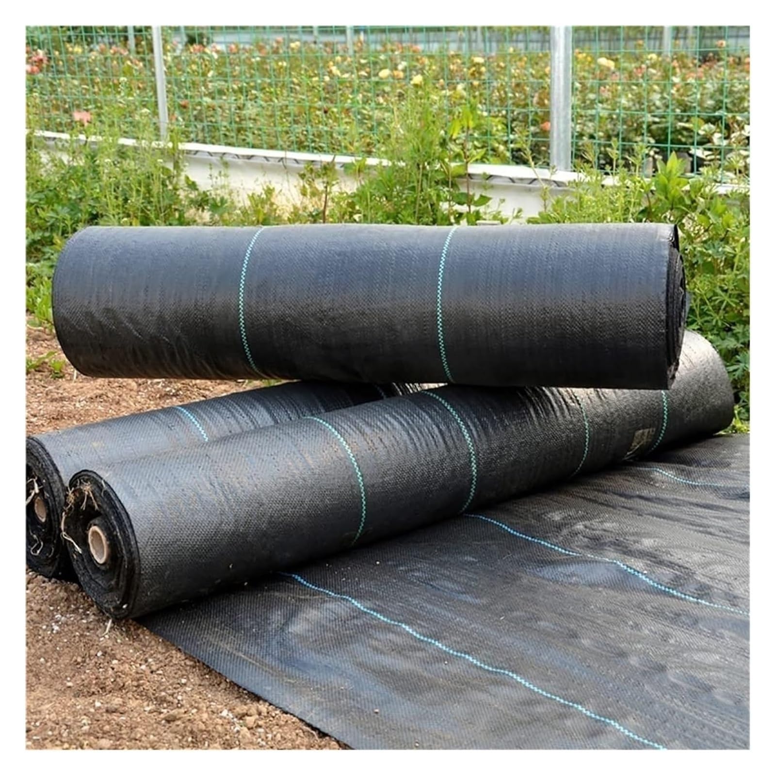 Toile de paillage noire 1m aménagement potager et massifs sans herbes