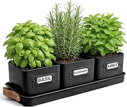 Green Thumbz Pack of 3 Herb Pots - Herb Pots for Your Herb Garden and Windowsill Interior Decoration - Basil Pot with Leather Handles and Saucer - Kitchen Herb Pot (Black)