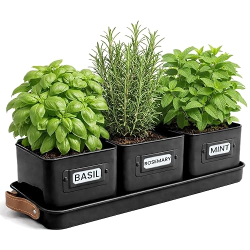 Green Thumbz Jardinière Herbes Aromatiques avec Poignée en Cuir -