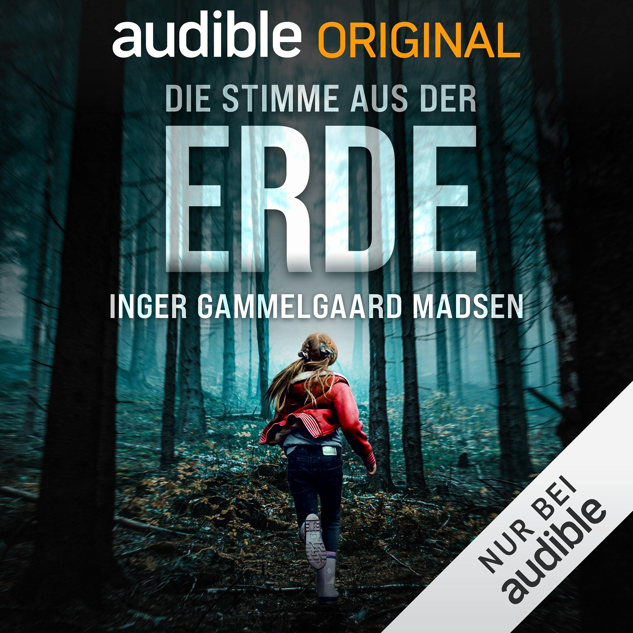 Cover art for Die Stimme aus der Erde