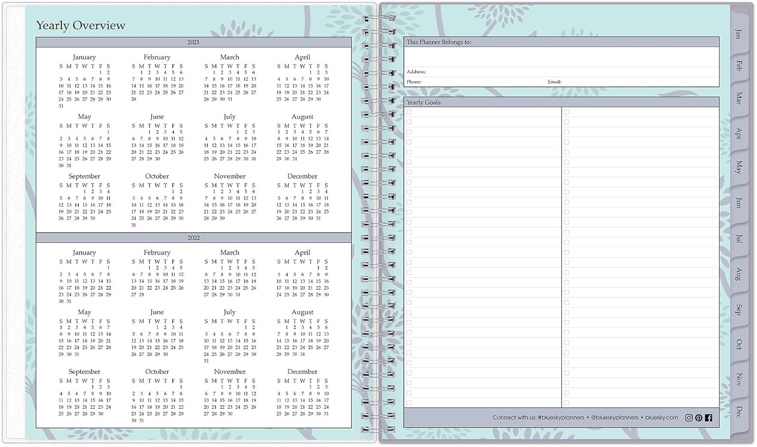 Blue Sky 2021 Monthly Planner, Frosted Flexible Cover, Twin-Wire Binding, 8" x 10", Rue Du Flore
