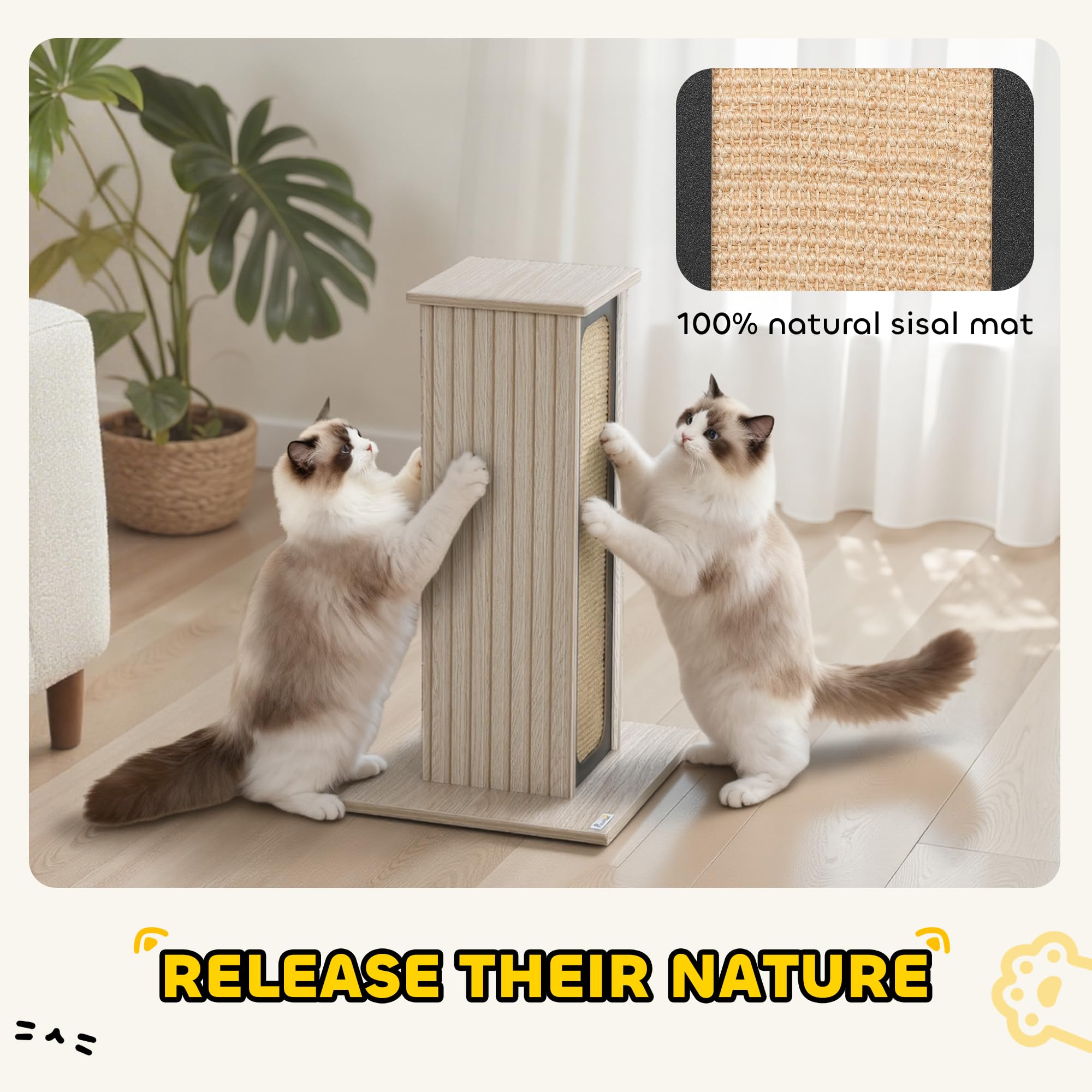 Rascador para Gatos PawHut, rascador Alto de 63 cm con Tablero de rascado reemplazable, Percha Superior, Alfombrilla de rascado de sisal Natural, para Gatos Grandes y Gatitos, Roble
