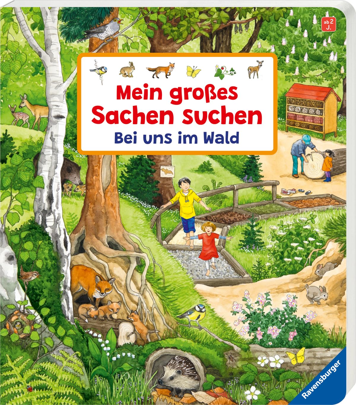 Mein großes Sachen suchen: Bei uns im Wald