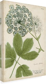 Wrapped Canvas Wall Art - Weinmann Queen Annes Lace Green Wall Art for Living Room, Bedroom, or Office Decor - 22x32