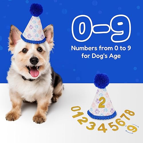 Miniatura 8 de Pacific Pups - Juego de decoraciones de cumpleaños para perro, sombrero de cumpleaños para perro, bandana de cumpleaños para perro, juguete