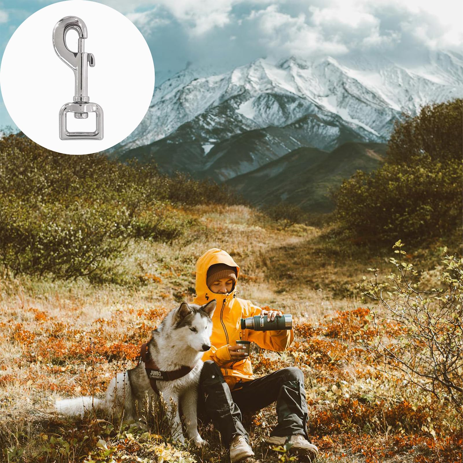 Ganci per Passeggini per Cani Set di 2, Acciaio Pesante, Uso con Collare per Cani Paracord 550, Ganci con Testa Rotante