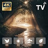 Relaxscreenhub TV