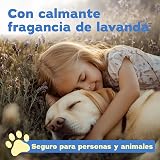 Ver la foto 5