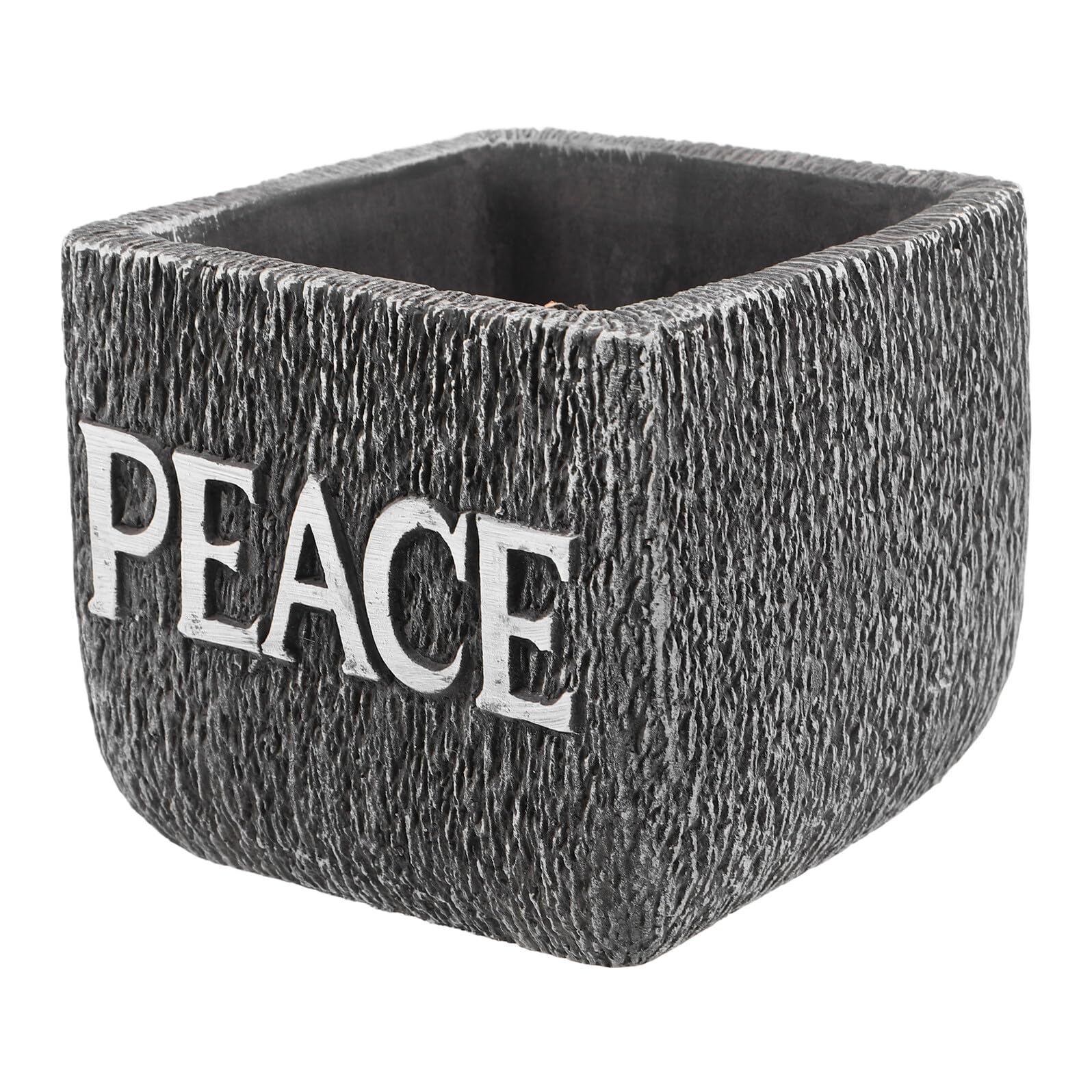 Pot en ciment gris foncé carré pour plantes grasses et cactus