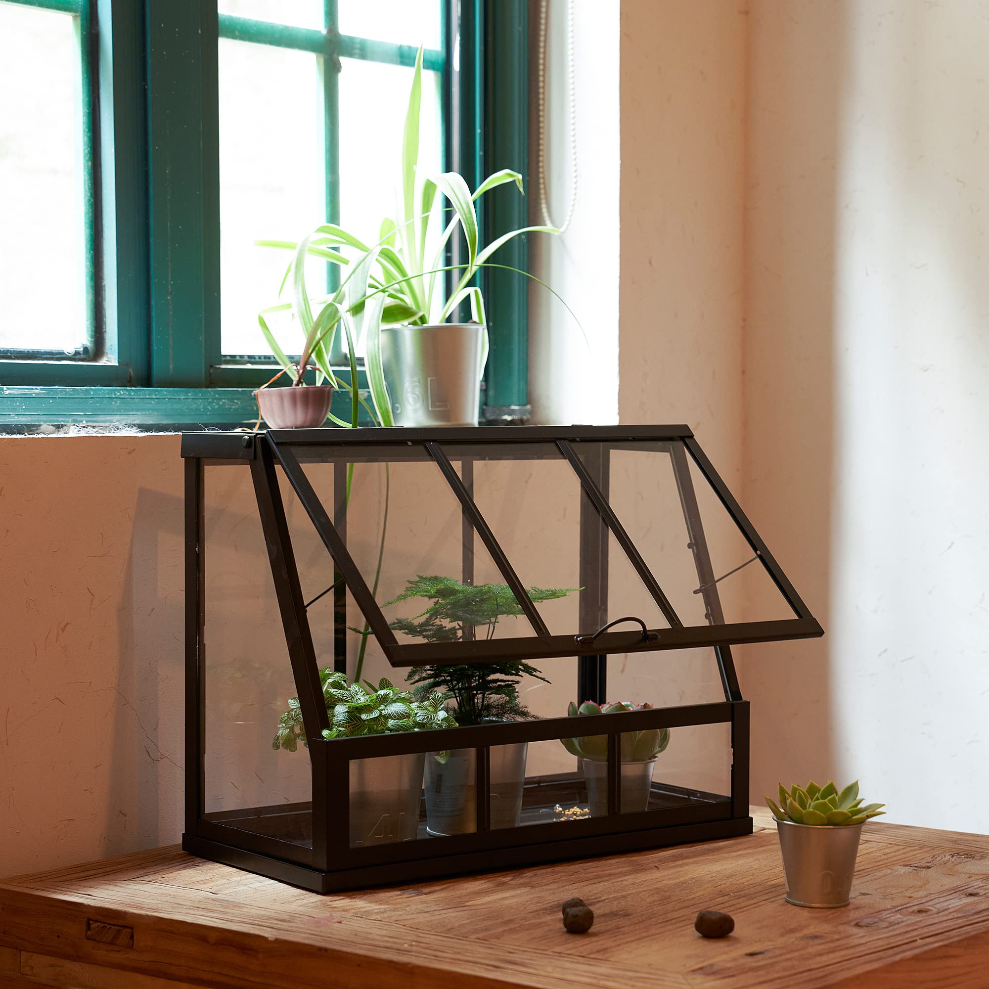 ProTuning ÅKERBÄR Gewächshaus, in/outdoor/anthrazit, 45 cm