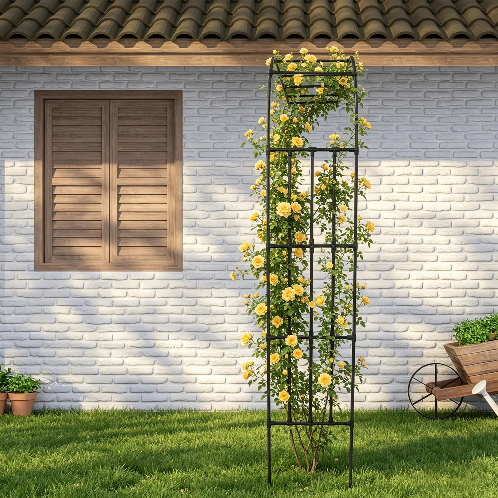 Traliccio semiarco per rose, arco da giardino in acciaio, montaggio a parete, supporto per piante, per rose rampicanti e supporto per piante, 240 x 50 x 260 cm