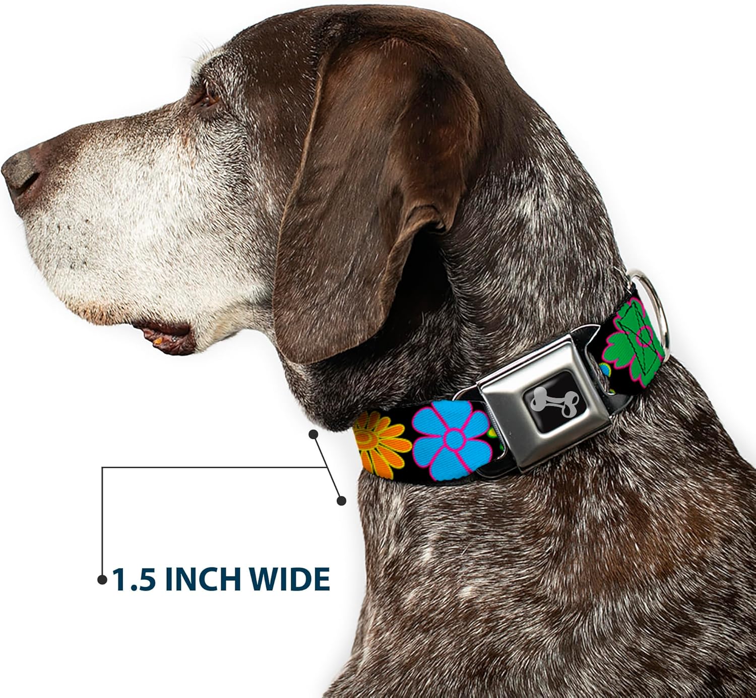 Buckle-Down Seatbelt Buckle Dog Collar - Flowers Black/Multi Color - 1" Wide - Fits 11-17" Neck - Medium