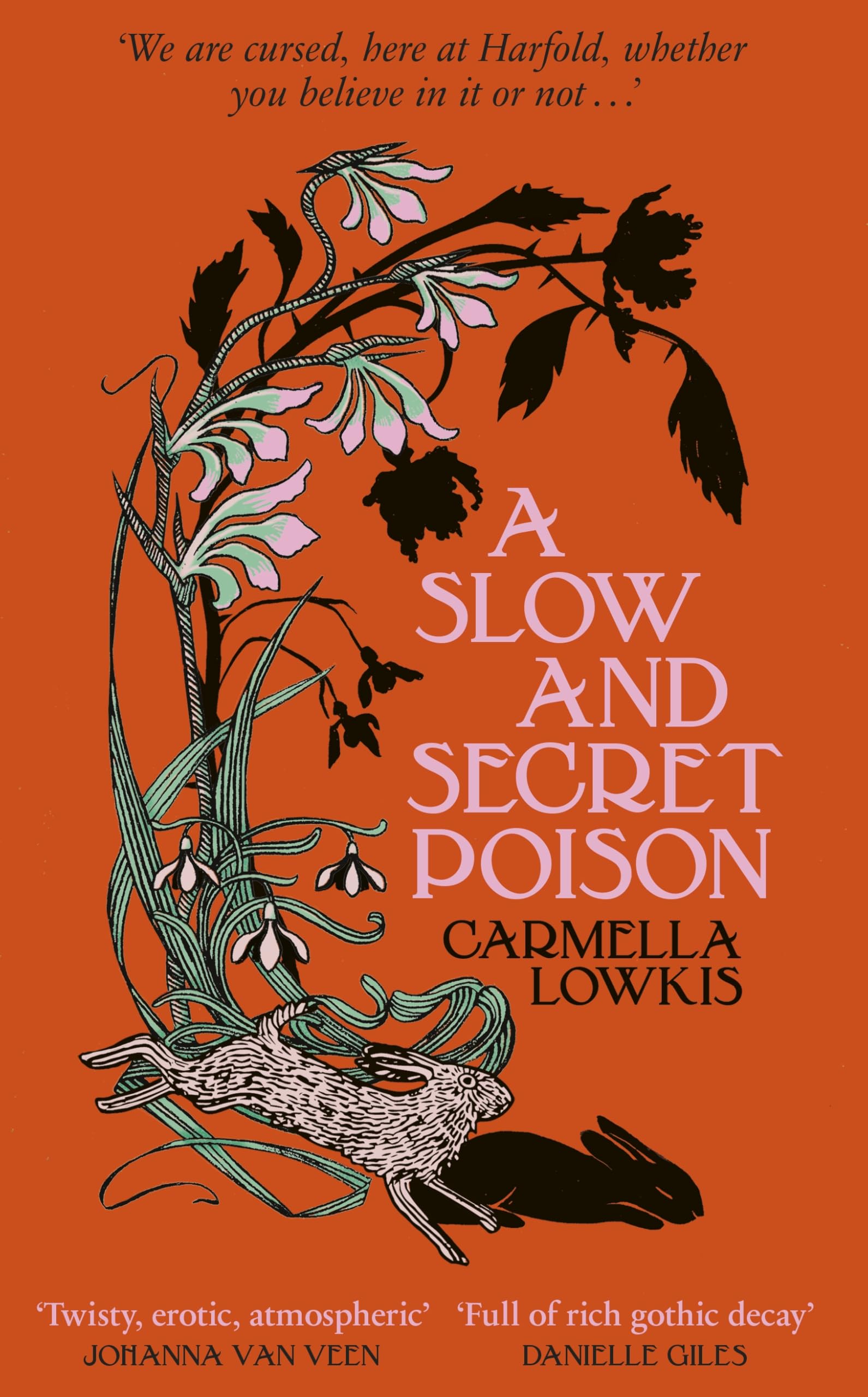 A Slow and Secret Poison: Amazon.co.uk: Lowkis, Carmella: 9780857529510: Books